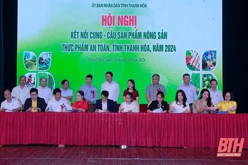 Kết nối cung - cầu sản phẩm nông sản, thực phẩm an toàn tỉnh Thanh Hóa năm 2024