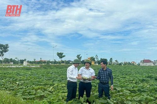 Đẩy mạnh ứng dụng khoa học - công nghệ trong phát triển sản xuất