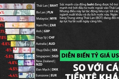 Diễn biến tỷ giá USD so với các tiền tệ khác trên thế giới từ đầu năm 2024