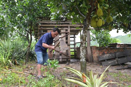 Gia đình nông dân cần cù, vượt khó thoát nghèo
