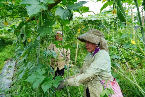 Phát huy vai trò chủ thể của người dân