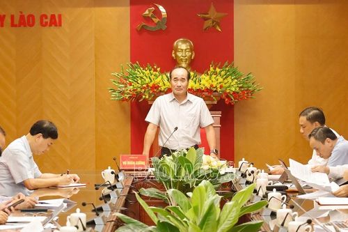 Tập trung khôi phục sản xuất, phát triển nông nghiệp hàng hóa