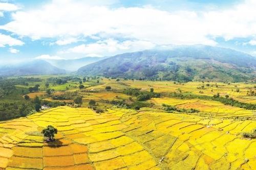 Du lịch Đam Rông chưa xứng tiềm năng