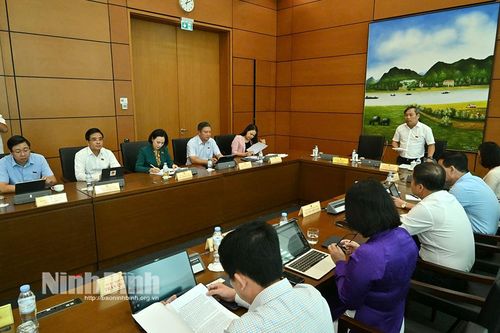 Kỳ họp thứ 8, Quốc hội khóa XV: Đại biểu Quốc hội tỉnh tham gia thảo luận tại tổ về một số dự án Luật
