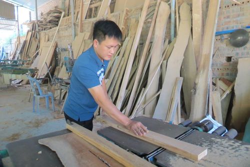 Tuổi trẻ Thanh Đình bám đất quê, xây cơ nghiệp