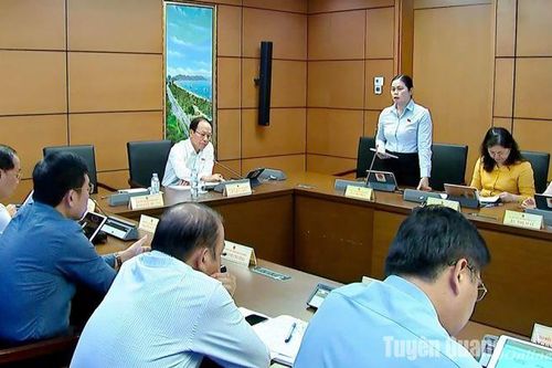 Đoàn ĐBQH tỉnh thảo luận Dự thảo Luật Sửa đổi, bổ sung một số điều của Luật BHYT và Luật Dữ liệu
