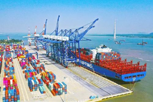 Châu Á: Ngành vận tải biển vẫn tăng trưởng mạnh bất chấp những cú sốc toàn cầu