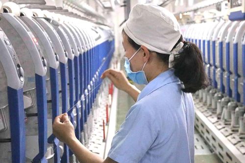 Lãi quý 3 cao nhất lịch sử, Sợi Thế Kỷ (STK) vẫn cách xa mục tiêu kinh doanh cả năm