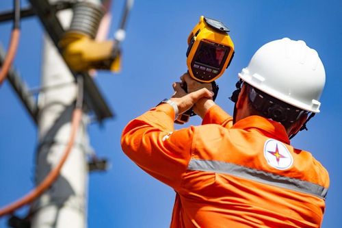 Công ty Cổ phần Đầu tư và phát triển Anh Phát bị cấm thầu 5 năm