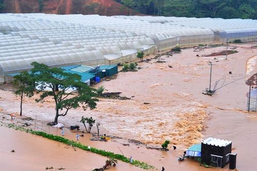Gian lận hồ sơ, Tập đoàn Đồng Lương bị đánh trượt gói thầu gần 60 tỷ đồng