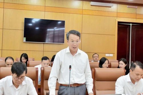 Cần chỉ ra vi phạm về thẩm quyền, trình tự thủ tục