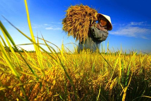 Xây dựng nông thôn mới 'đụng' thách thức