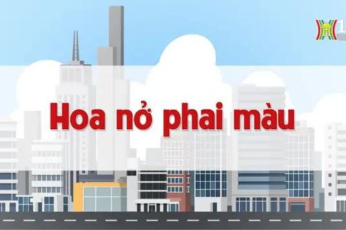 Hoa nở phai màu | Chuyện quanh ta | 24/10/2024