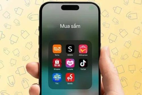 Người Việt chi gần 9 tỷ USD mua hàng online