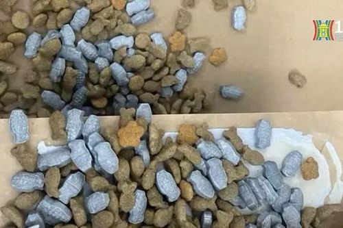 Giấu ma túy trong thức ăn cho chó, mèo