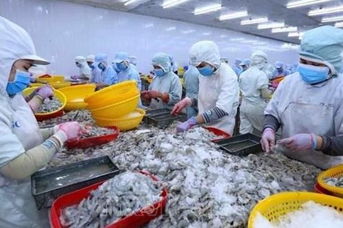 Thực phẩm Sao Ta (FMC): Doanh thu cao kỷ lục nhưng chi phí vận chuyển và thuế kìm hãm đà tăng lợi nhuận quý III/2024