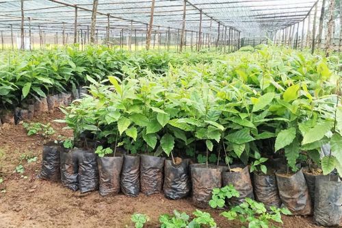 Nâng cao hiệu quả hoạt động khoa học công nghệ