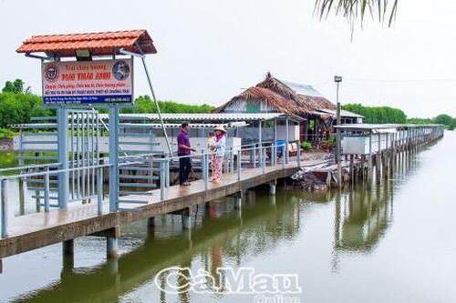 Mô hình cho thu nhập cao ở Tân Ân Tây