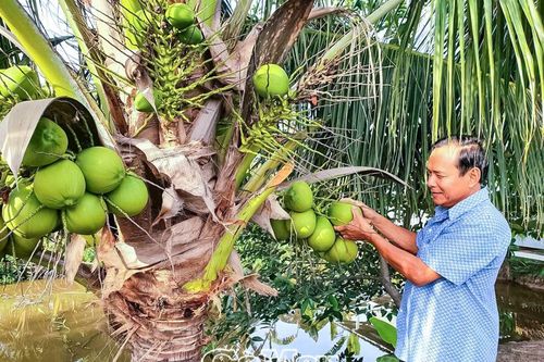 Ða dạng nguồn thu từ đa canh