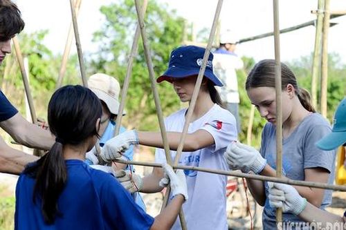 Học sinh, sinh viên quốc tế chung tay tạo dựng cảnh quan môi trường sau bão