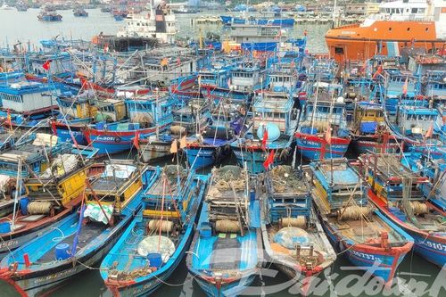 Đà Nẵng: Gần 1.200 tàu thuyền di chuyển vào tránh bão số 6 tại Âu thuyền Thọ Quang