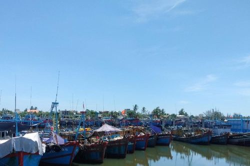 Quảng Ngãi: Cấm tàu thuyền ra biển hoạt động từ 10h ngày 26/10