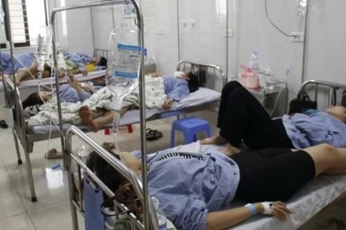 Mẫu bệnh phẩm dương tính với E.coli