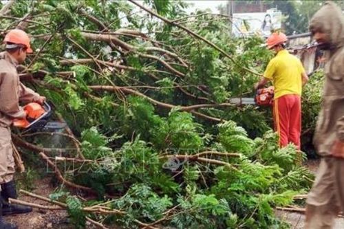 Hai bang của Ấn Độ dừng các chuyến bay do bão Dana