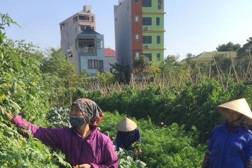 Đột phá trong xây dựng nông thôn mới ở Sóc Sơn