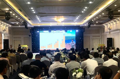 Chia sẻ kinh nghiệm ứng dụng công nghệ và canh tác khoai tây các tỉnh phía bắc