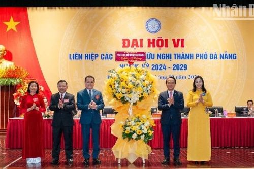 Ông Nguyễn Ngọc Bình tái cử Chủ tịch Liên hiệp Các tổ chức hữu nghị thành phố Đà Nẵng