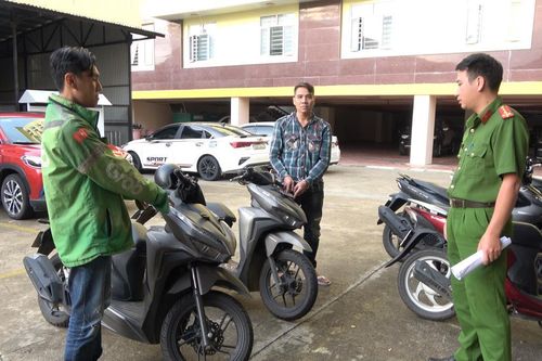 'Ngưu, mã tầm nhau'