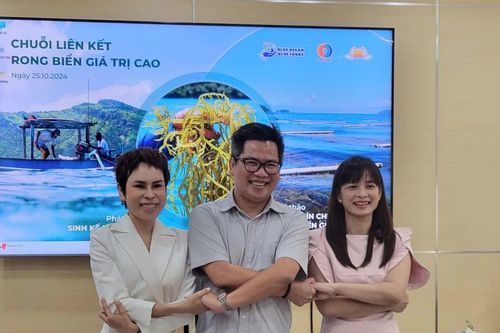 Thúc đẩy khai thác hiệu quả kinh tế từ rong biển