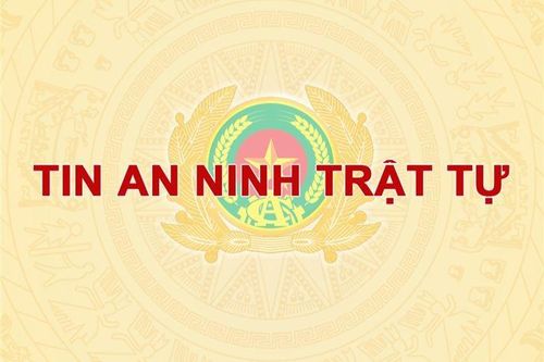 Gia Lai: Bắt tạm giam đối tượng lừa 'chạy án', chiếm đoạt 150 triệu đồng