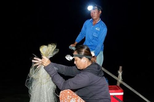 Mưu sinh mùa nước nổi: 'Kiếm được đồng tiền rơi nước mắt'