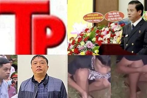 Bản tin Hình sự: Triệt phá đường dây cá độ bóng đá hơn 500 tỷ đồng