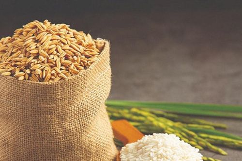 Giá lúa gạo hôm nay 25/10/2024: Giá gạo xuất khẩu giảm mạnh