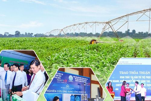 Khẳng định vai trò ngành Khoa học và Công nghệ trong sự nghiệp phát triển của tỉnh Nghệ An