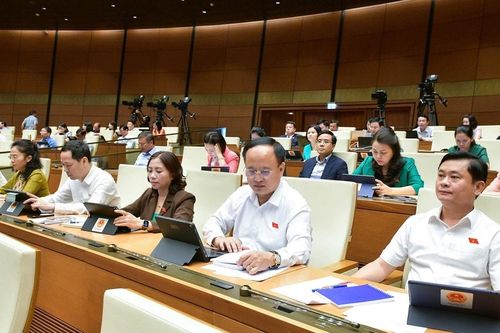 ĐBQH đề nghị tránh hình thức khi lấy ý kiến người dân trong lập quy hoạch đô thị, nông thôn