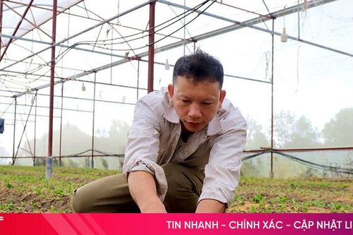 Nông dân Hà Tĩnh linh hoạt sản xuất vụ đông, thích ứng thời tiết