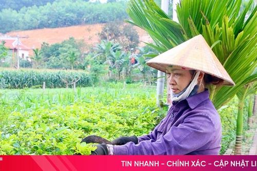 'Khéo tay, hay làm', phụ nữ Vũ Quang cùng nhau xây dựng quê hương