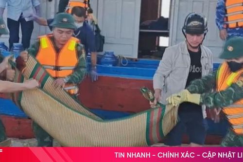 Tàu cá gặp sự cố trên biển Hà Tĩnh, một ngư dân tử vong