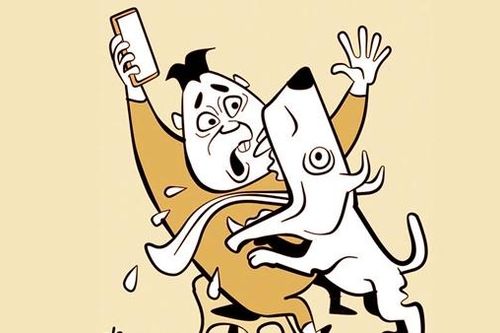 'Con chó'' của Chủ tịch xã