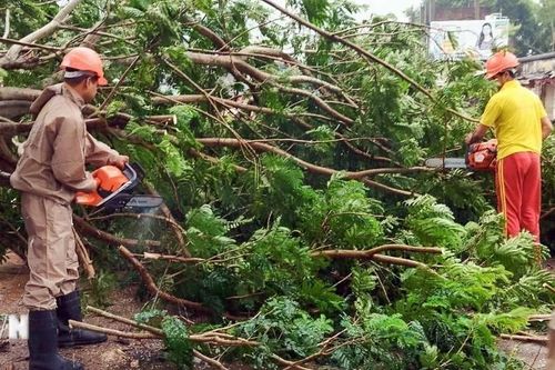 Ấn Độ sơ tán khẩn cấp hơn 300.000 người trước siêu bão Dana