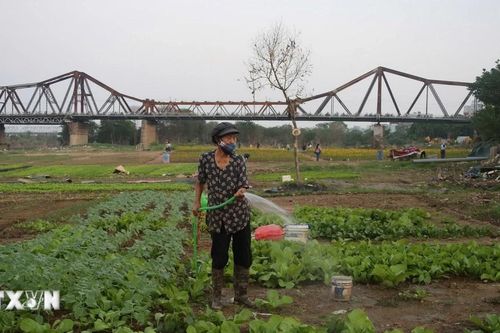 Cuộc sống sau cơn bão Yagi của xóm trọ nghèo dưới gầm cầu Long Biên
