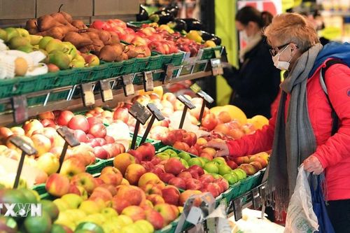IMF cảnh báo nền kinh tế châu Âu sẽ tụt hậu hơn nữa so với Mỹ