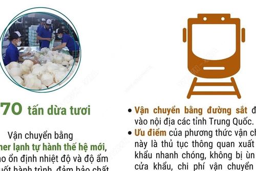70 tấn dừa tươi của Tiền Giang xuất khẩu chính ngạch sang Trung Quốc