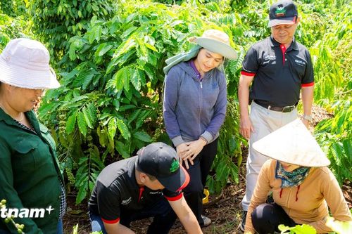 Tương lai xanh: Câu chuyện phát triển bền vững từ những hạt càphê Đắk Lắk