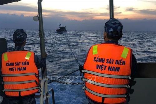 Bộ Tư lệnh Vùng Cảnh sát biển 1 cứu kịp thời tàu cá gặp nạn trên biển