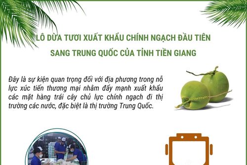 Thông tin về 70 tấn dừa tươi của Tiền Giang xuất khẩu chính ngạch sang Trung Quốc